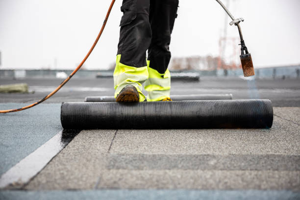 Best Asphalt Shingles Roofing  in Park Falls, WI