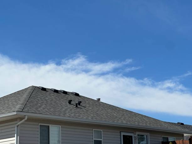 Roof Insulation in Park Falls, WI